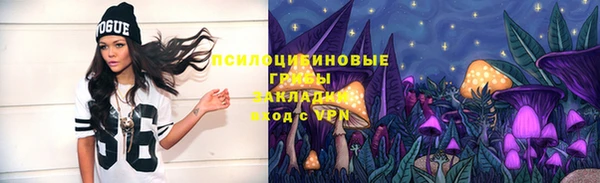 а пвп мука Аркадак