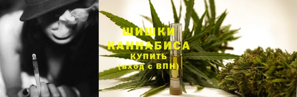 хмурый Арсеньев