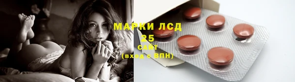 хмурый Арсеньев