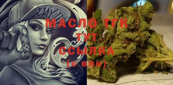 хмурый Арсеньев