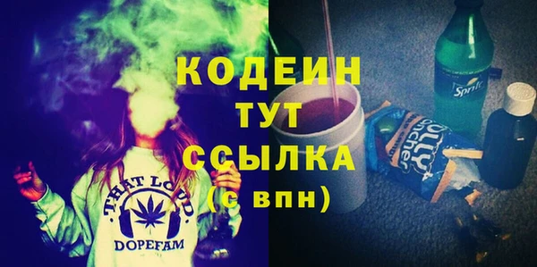 хмурый Арсеньев