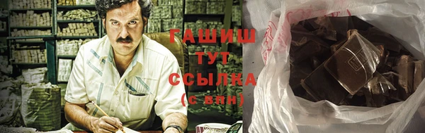 хмурый Арсеньев